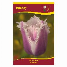 ТЮЛЬПАН КАММИНС 5шт-карточка