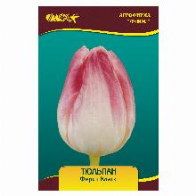 ТЮЛЬПАН ФЁСТ КЛАСС 5шт-карточка