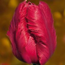 Нажмите чтобы увеличить изображение