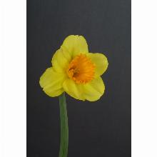 Нажмите чтобы увеличить изображение