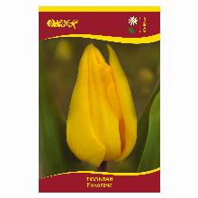 ТЮЛЬПАН ЙОКОГАМА 5шт-карточка