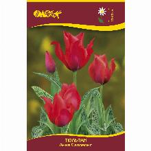 Нажмите чтобы увеличить изображение