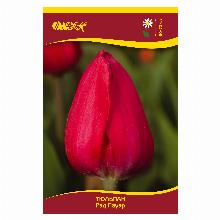 ТЮЛЬПАН РЕД ПАУЭР 5шт-карточка