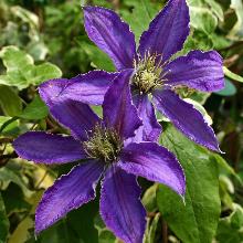 Нажмите чтобы увеличить изображение