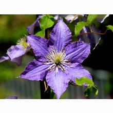 Нажмите чтобы увеличить изображение