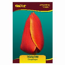 ТЮЛЬПАН СКАРБОРО 5шт-карточка