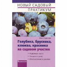 КНИГА ГОЛУБИКА БРУСНИКА КЛЮКВА КРАСНИКА И.Ю.СМИРНОВ фитон