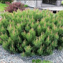 Нажмите чтобы увеличить изображение