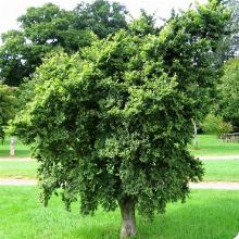 Нажмите чтобы увеличить изображение