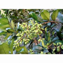 Нажмите чтобы увеличить изображение