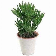 Нажмите чтобы увеличить изображение