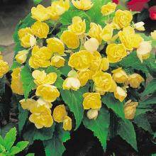 Нажмите чтобы увеличить изображение