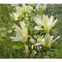 Нажмите чтобы увеличить изображение