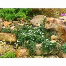 Нажмите чтобы увеличить изображение