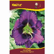 Нажмите чтобы увеличить изображение