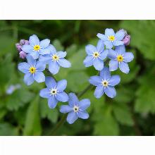 Нажмите чтобы увеличить изображение