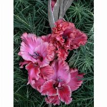 Нажмите чтобы увеличить изображение