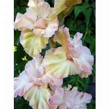 Нажмите чтобы увеличить изображение