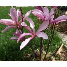 Нажмите чтобы увеличить изображение