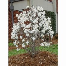 Нажмите чтобы увеличить изображение