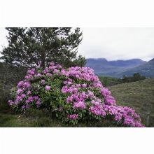 Нажмите чтобы увеличить изображение