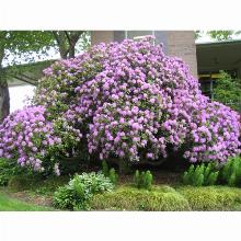 Нажмите чтобы увеличить изображение