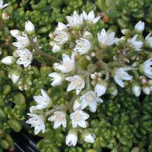 Нажмите чтобы увеличить изображение