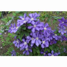 Нажмите чтобы увеличить изображение