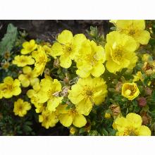 Нажмите чтобы увеличить изображение