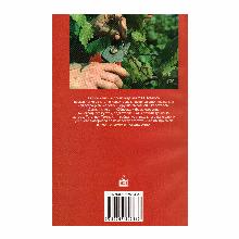 Нажмите чтобы увеличить изображение