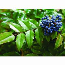 Нажмите чтобы увеличить изображение