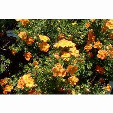 Нажмите чтобы увеличить изображение