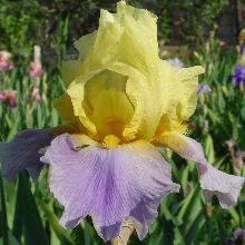 Нажмите чтобы увеличить изображение