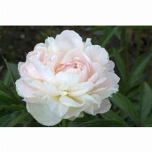 Нажмите чтобы увеличить изображение