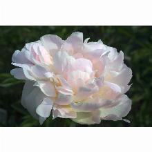 Нажмите чтобы увеличить изображение