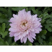 Нажмите чтобы увеличить изображение