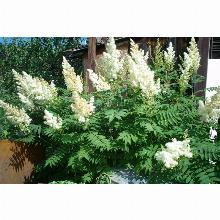 Нажмите чтобы увеличить изображение