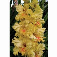 Нажмите чтобы увеличить изображение