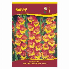ГЛАДИОЛУС ПРИНЦЕССА МАРГАРЕТ РОУЗ 3шт-карточка