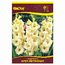 ГЛАДИОЛУС КРЕМ ПЕРФЕКШН 3шт-карточка