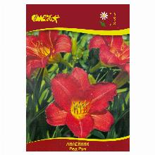 ЛИЛЕЙНИК РЕД РУМ карточка