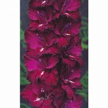 Нажмите чтобы увеличить изображение