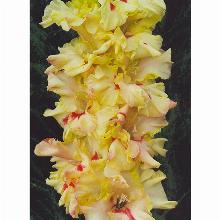 Нажмите чтобы увеличить изображение