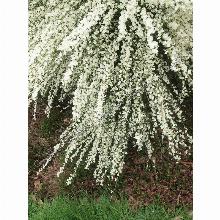 Нажмите чтобы увеличить изображение