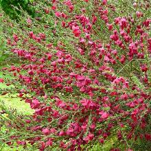 Нажмите чтобы увеличить изображение