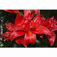 Нажмите чтобы увеличить изображение