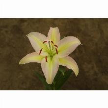 Нажмите чтобы увеличить изображение