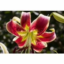 Нажмите чтобы увеличить изображение