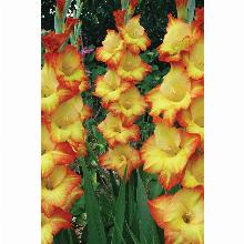 Нажмите чтобы увеличить изображение