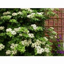 Нажмите чтобы увеличить изображение